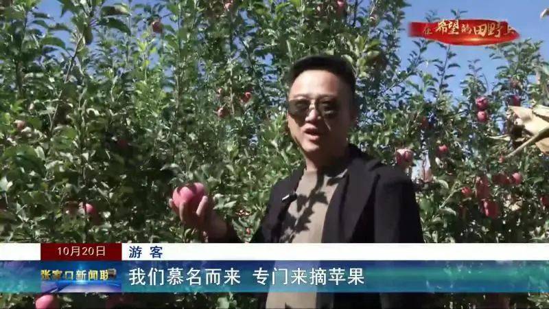 豊利的苹果版苹果手表所有型号大全-第2张图片-太平洋在线下载