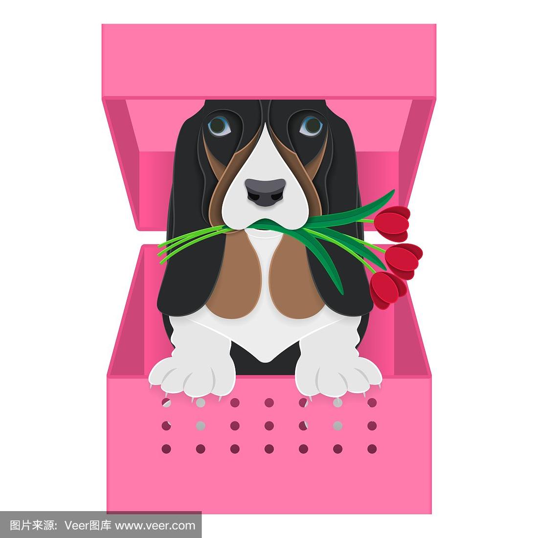 小狗宝盒破解版苹果版(小狗宝盒56破解版苹果下载)-第4张图片-WPS Office AI办公