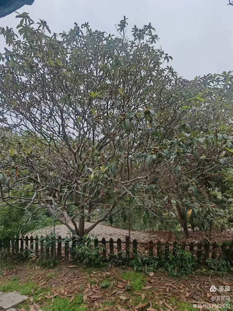 游尚改苹果版(游改尚安卓版下载)-第10张图片-WPS Office AI办公 游尚改苹果版(游改尚安卓版下载)-第10张图片-WPS Office AI办公