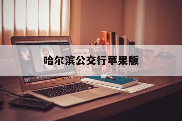 哈尔滨公交行苹果版(哈尔滨公交车苹果手机nfc)-第2张图片-WPS Office AI办公